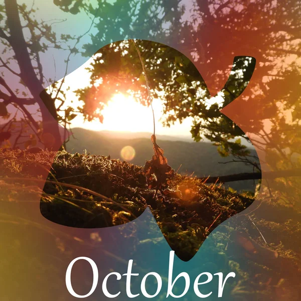 Closeup Shot Autumn Nature Scenery Acorn Shaped Frame Text October — Stock Photo, Image