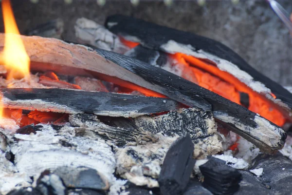 Gros Plan Petit Feu Dans Les Cendres — Photo