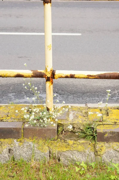 Vieja Barrera Amarilla Metal Oxidado Por Camino —  Fotos de Stock