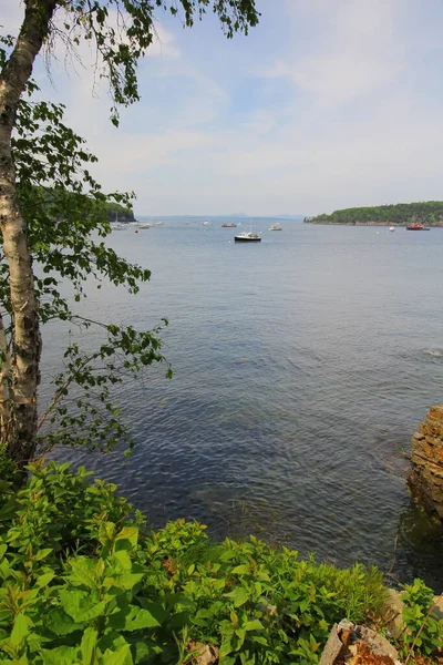 Вертикальний Знімок Красивого Морського Пейзажу Багатьма Вітрильними Човнами Видно Узбережжя — стокове фото