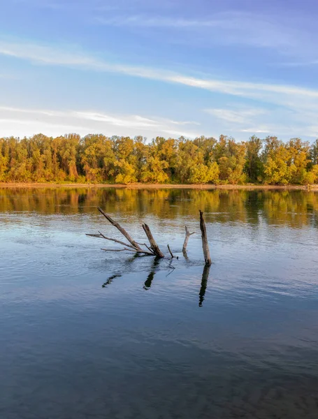 Okouzlující Záběr Klidné Jezero Obklopené Stromy — Stock fotografie