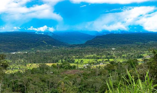 Krásný Záběr Tropických Lesů Pohoří Pokrytých Stromy — Stock fotografie