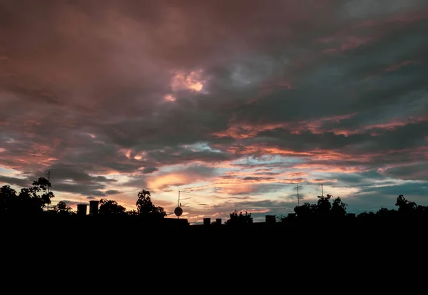 Una Hermosa Vista Silueta Los Edificios Rodeados Árboles Atardecer Pintoresco —  Fotos de Stock