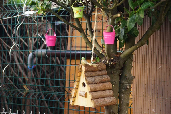 Une Maison Oiseaux Des Seaux Colorés Suspendus Arbre Dans Parc — Photo