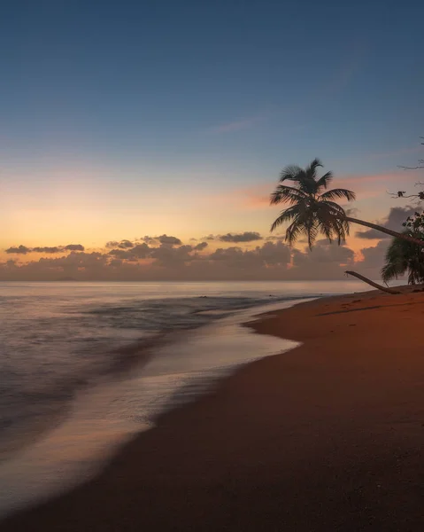 Günbatımında Tropikal Kumsalın Dikey Görüntüsü — Stok fotoğraf