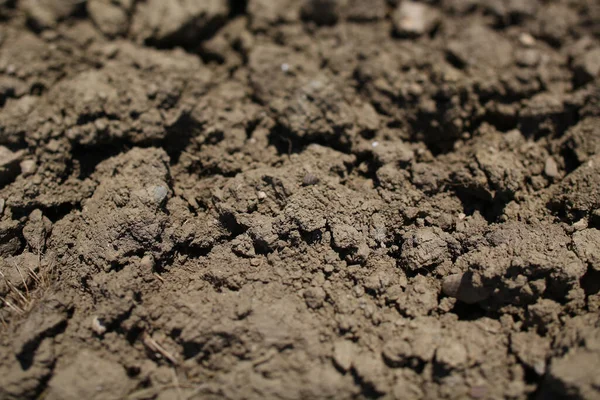 Een Close Shot Van Gedroogde Grond — Stockfoto