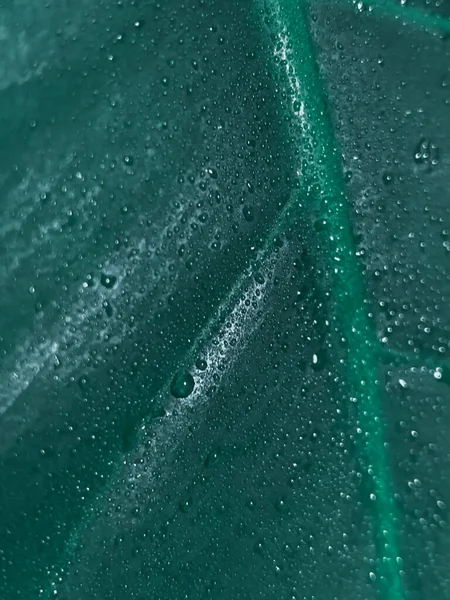 Een Close Shot Van Een Fris Groen Blad Bedekt Met — Stockfoto