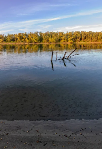 Fascinerande Bild Lugn Sjö Omgiven Träd — Stockfoto