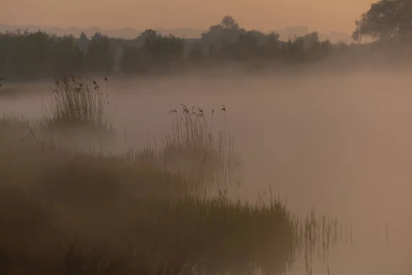 Ein Schöner Blick Auf Einen See Der Abend Mit Nebel — Stockfoto