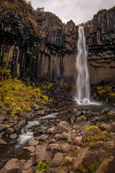 Pionowe Ujęcie Wodospadu Svartifoss Islandii — Zdjęcie stockowe