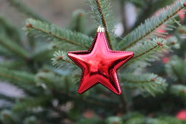 Zbliżenie Ujęcie Dekoracyjnej Gwiazdy Bożego Narodzenia — Zdjęcie stockowe