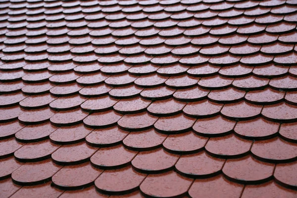 Closeup Shot Roof — Stock Photo, Image