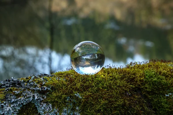 Лісове Озеро Відбивається Скляній Кулі — стокове фото