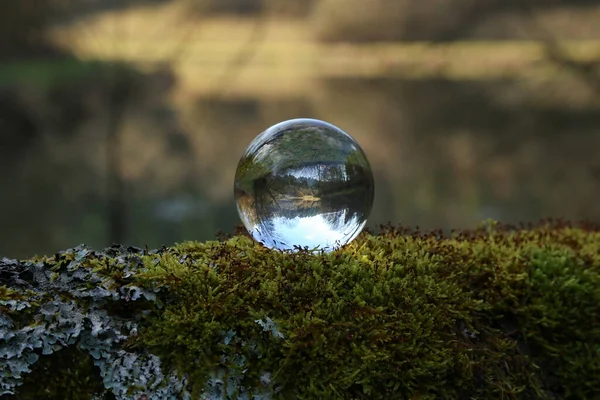 Selektiv Fokusbild Skogssjö Genom Transparent Glaskula — Stockfoto