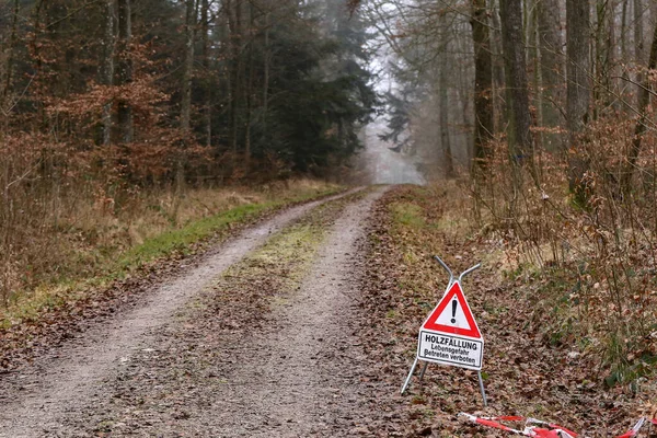 Sentiero Con Segnale Pericolo Nella Foresta — Foto Stock