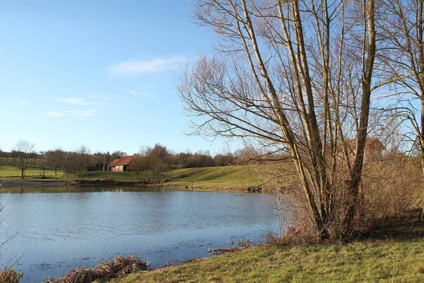 一个被阳光和蓝天下的绿叶环绕的池塘 — 图库照片