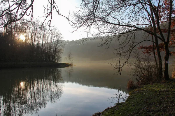 森に囲まれた穏やかな湖の美しいショット — ストック写真