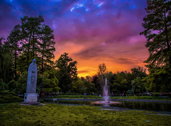 Primo Piano Lago Parco — Foto Stock