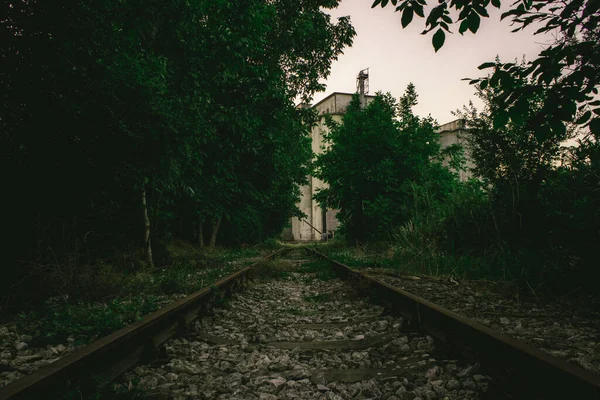 Een Dichtbij Shot Van Een Spoorweg — Stockfoto