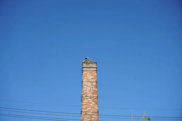 Tepesinde Leylek Olan Yüksek Beton Bir Binanın Alçak Açılı Görüntüsü — Stok fotoğraf