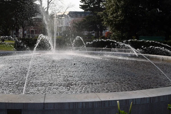 Beautiful Shot Fountain Garden — Stock Photo, Image