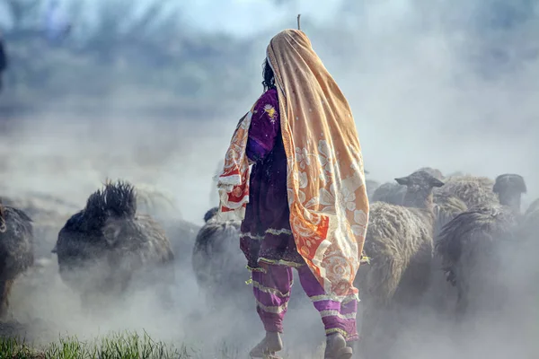 Egy Sekély Fókuszfelvétel Egy Női Pásztorról Hagyományos Ruhában — Stock Fotó