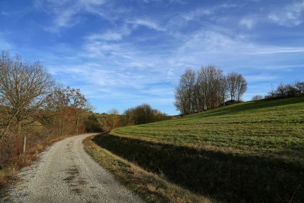 Kışın Güneşin Altında Yeşilliklerle Çevrili Bir Yol — Stok fotoğraf