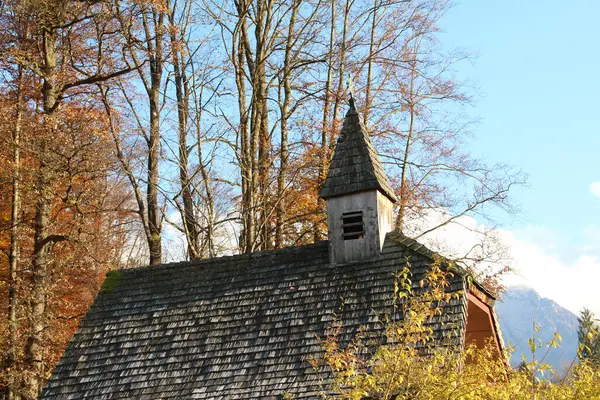 森の中の古い建物の低角度ショット — ストック写真