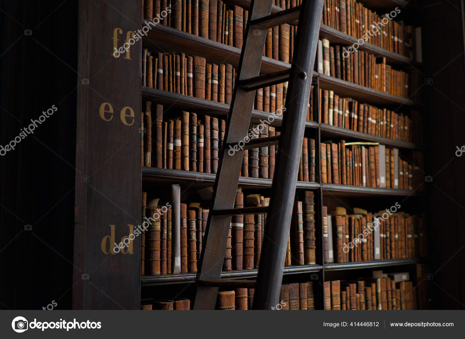 Old Library Bookshelves
