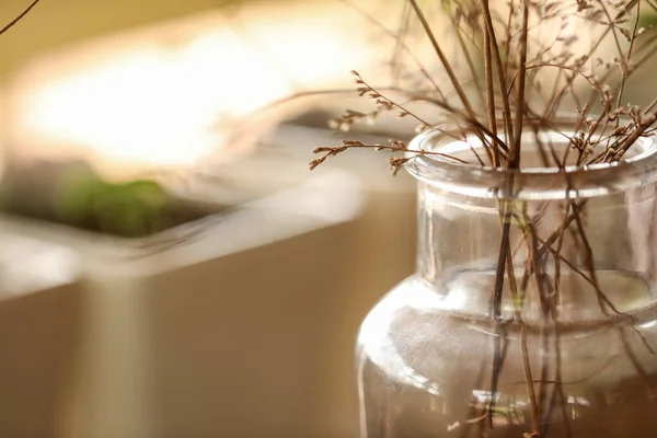 Gros Plan Plantes Séchées Dans Bocal Verre Sur Table Avec — Photo