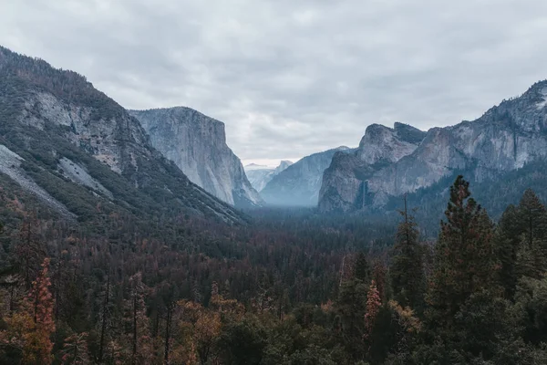 Uma Vista Paisagem Parque Nacional Yosemite Califórnia Eua — Fotografia de Stock