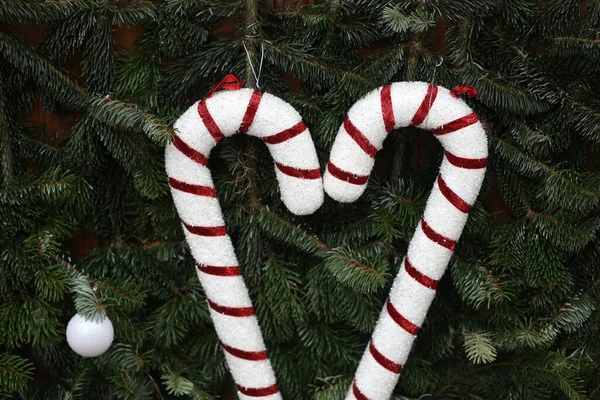 Eine Nahaufnahme Von Zuckerrohrschmuck Auf Einem Weihnachtsbaum — Stockfoto