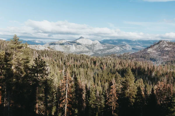 Θέα Τοπίου Του Εθνικού Πάρκου Γιοσέμιτι Στην Καλιφόρνια Των Ηπα — Φωτογραφία Αρχείου