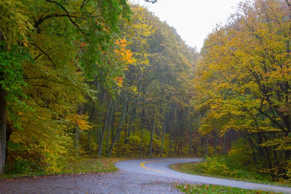 Belo Tiro Uma Estrada Vazia Cercada Por Árvores Coloridas Dia — Fotografia de Stock