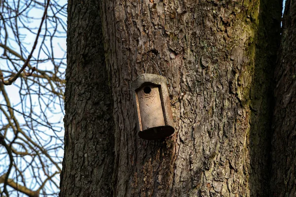 Ein Hölzernes Vogelhaus Auf Einem Baumstamm — Stockfoto
