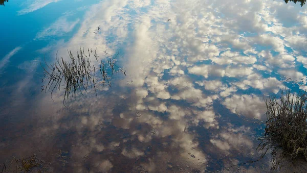 Beau Cliché Reflet Ciel Dans Étang — Photo