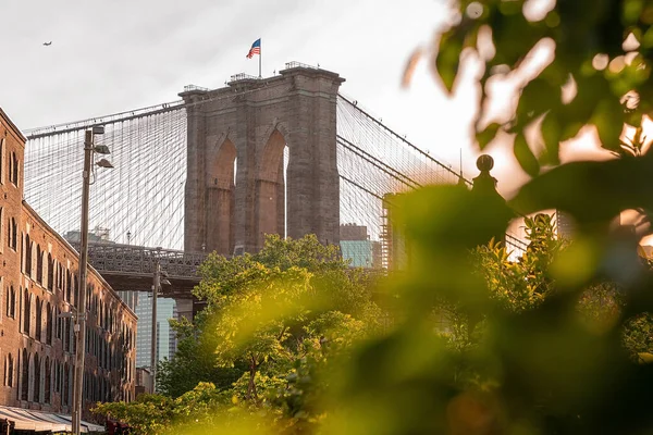 Une Vue Sur Pont Brooklyn Depuis Parc Brooklyn Avec Manhattan — Photo