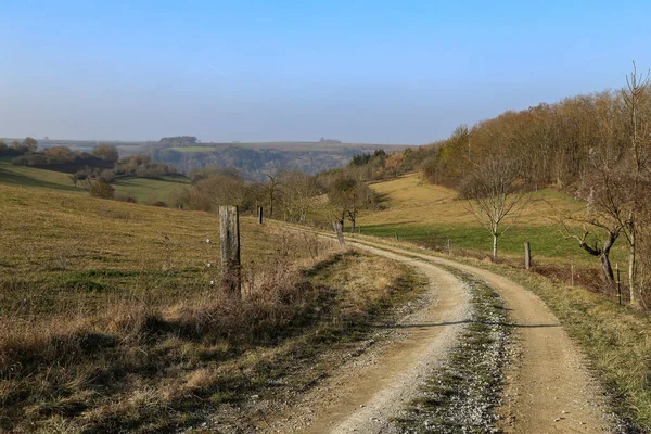 Zbliżenie Ujęcie Drogi Polu — Zdjęcie stockowe