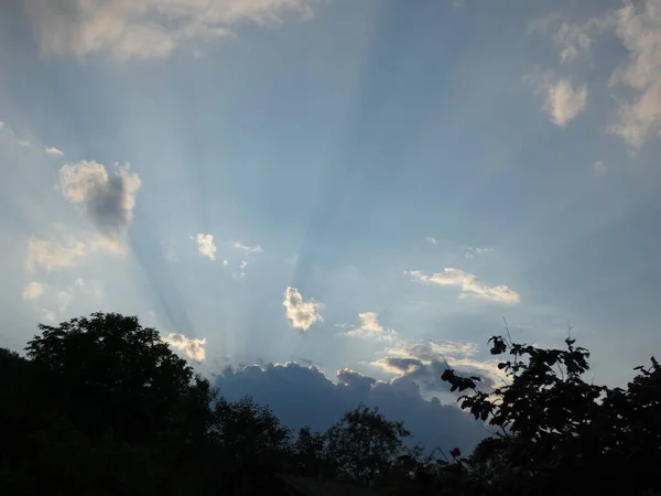 Plano Bajo Ángulo Cielo Azul Brillante Con Nubes Ramas Árboles —  Fotos de Stock