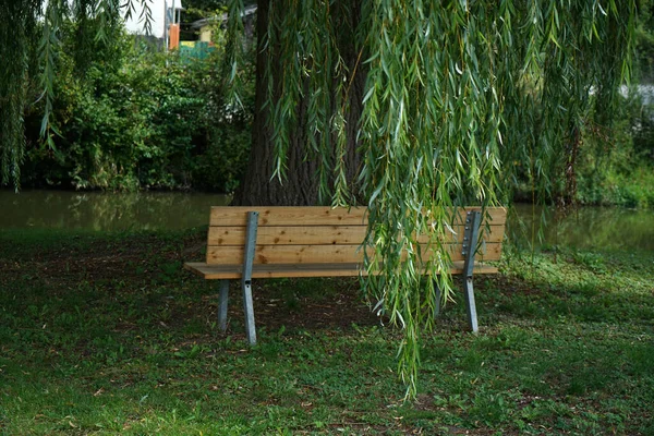 公园里一棵树下的木制长椅 — 图库照片