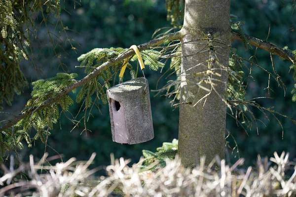 Eine Nahaufnahme Eines Nistkastens Für Singvögel Der Einem Ast Hängt — Stockfoto