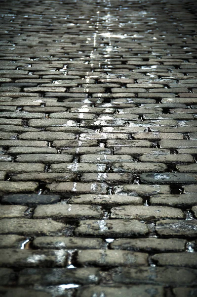 Vertical Shot Pathway Made Stone Bricks — Stock Photo, Image