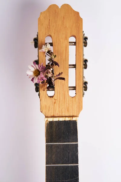 Colpo Verticale Della Paletta Della Chitarra Decorata Con Fiori — Foto Stock