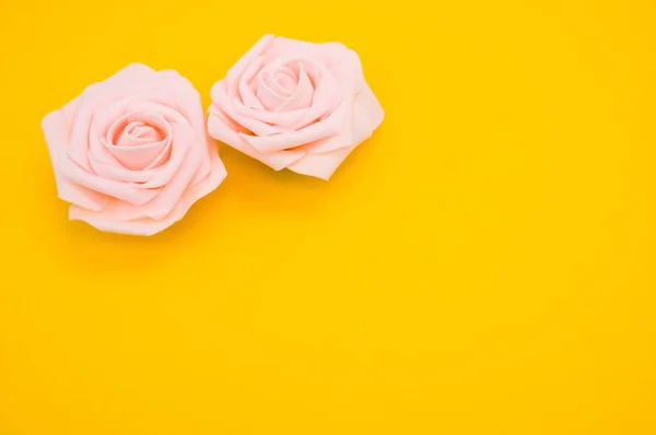 Zbliżenie Ujęcia Dwóch Różowych Róż Odizolowanych Żółtym Tle Przestrzenią Kopiowania — Zdjęcie stockowe