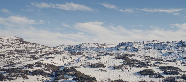 Горы Покрытые Снегом Национальном Парке Тейде — стоковое фото
