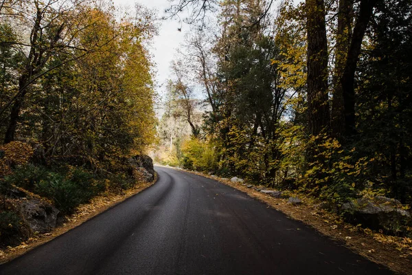 Une Route Dans Parc National Yosemite Californie États Unis — Photo