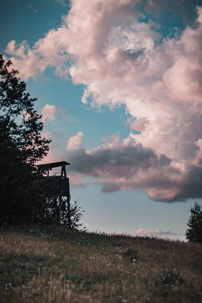 Tiro Vertical Campo Com Árvores Sob Belas Nuvens Cor Rosa — Fotografia de Stock