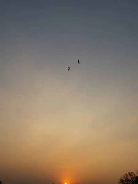 Eine Vertikale Aufnahme Von Vögeln Die Den Himmel Des Sonnenuntergangs — Stockfoto