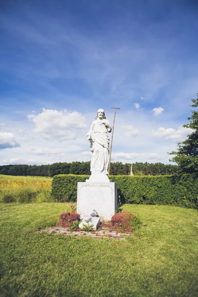 Plan Vertical Une Statue Catholique Dans Parc — Photo