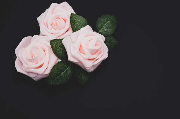 Close Rosas Rosa Isoladas Fundo Preto Com Espaço Cópia — Fotografia de Stock